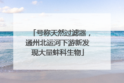 号称天然过滤器，通州北运河下游新发现大量蚌科生物
